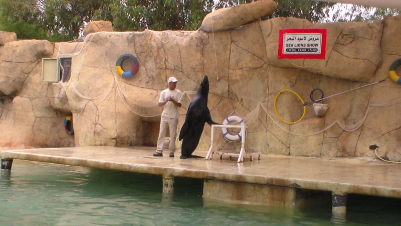 zoo 41 kopie(1)